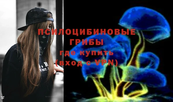 ГАЛЛЮЦИНОГЕННЫЕ ГРИБЫ Каменск-Шахтинский