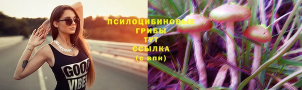 ECSTASY Каменка