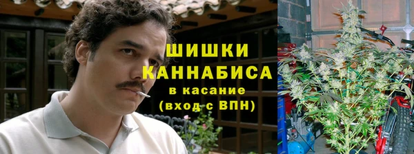 ECSTASY Каменка