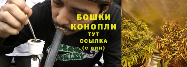 гашик Карталы