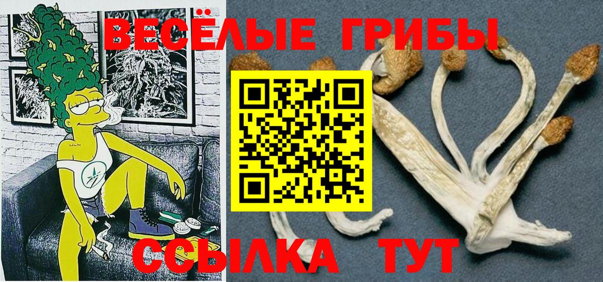 Галлюциногенные грибы мицелий  Галлюциногенные грибы Psilocybine cubensis  Елец  Вход с VPN 